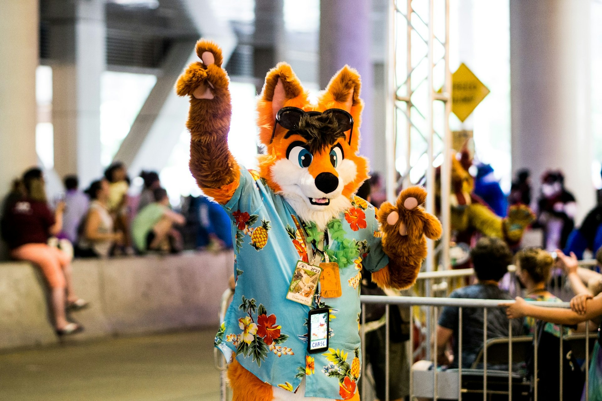 Pittsburgh Anthrocon 2025 Visit Pittsburgh